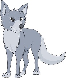 gray coyote animal clipart