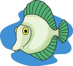 green salt water fish