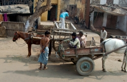 people in wooden carts on dirt street india