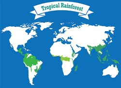 tropical rain forest biome clipart
