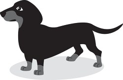 brown long and low dachshund dog gray color clip art