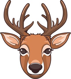 deer animal face 16