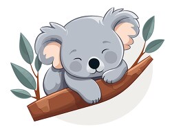 sleepy koala rests on tree branch clip art