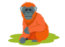 clipart