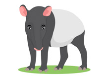 clipart