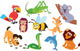 clipart